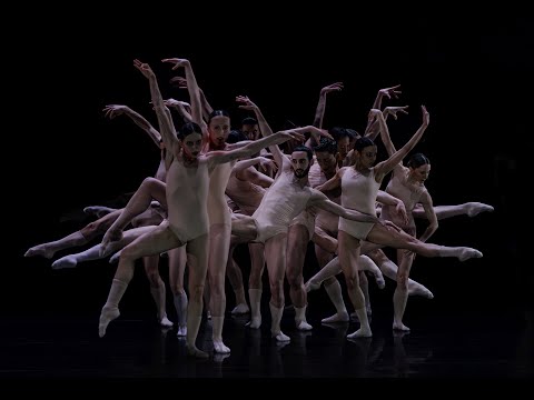 Gauthier Dance//Dance Company Theaterhaus Stuttgart: ELEMENTS | Trailer