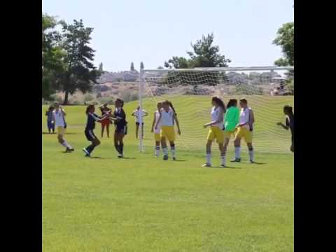 FARWEST REGIONAL 2015 ....Leahi Premier 02's