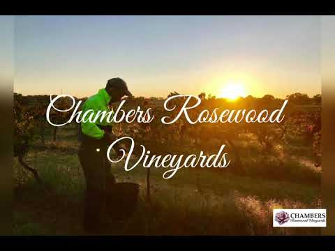 Chambers Rosewood Vineyards and Winery