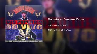 Valentín Elizalde - Tamarindo, Camarón Pelao (Audio)