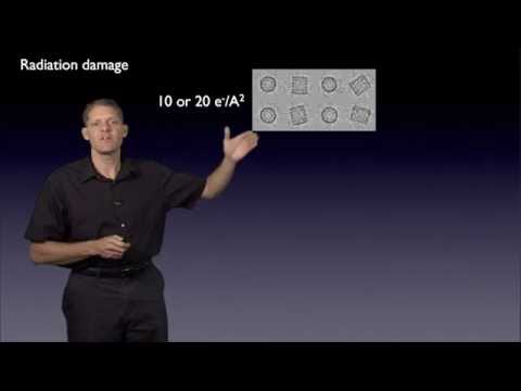 Part 4: Dose Limitations - G. Jensen