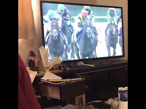 2019.10.20 SUN 菊花賞　京都　芝　3000m