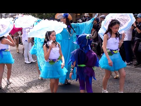 動画 キッズサンバ 可愛すぎる女の子の動画