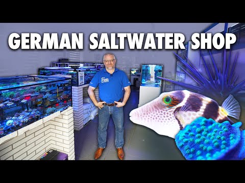 GERMAN SALTWATER SHOP - Nautilus Aquaristik English TOUR