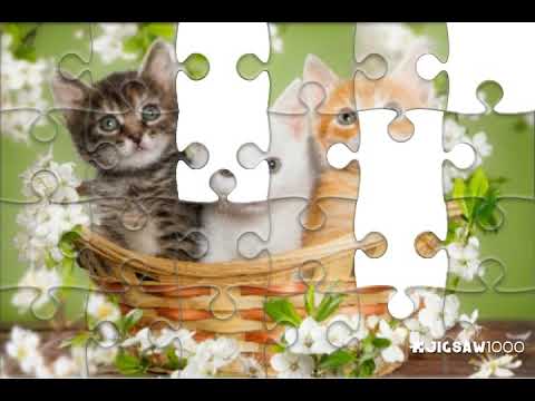A Kitty puzzle