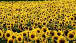 Que lindo es mi Cristo - Manuel Bonilla