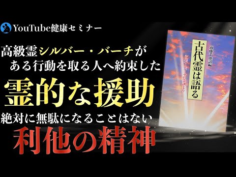 園芸 シルバーバーチ