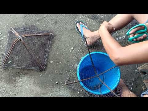 MAKING Traditional Trap for Talangka crab