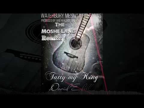 WATERBURY MESIVTA TATTY MY KING - THE MOSHE LANG REMIX (OFFICIAL)