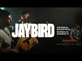 Jaybird