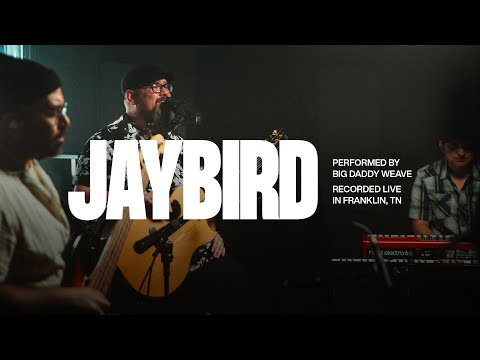 Thumbnail for Jaybird video