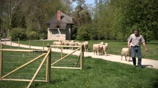 preview picture of video 'De l'écopastoralisme au parc du château de Rambouillet'