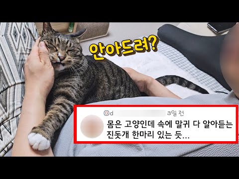 나 지켜주는 거야??근육 마사지 받다가 아파했더니 고양이의 놀라운 행동