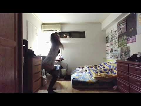 King Kosa ft Konshens & Shenseea - Best Nana Female Dancehall Choreography By Denise Blue