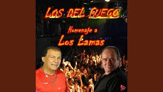 Delirio De Perderte Lyrics English Translation