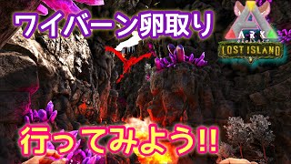 ARK【Lost Island】ワイバーンの卵を取りに行ってみよう!!