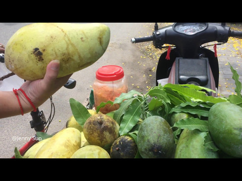 Asian Street Food, Cambodian Street Food, Food Compilation In The City