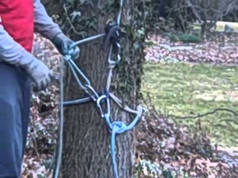 YouTube Thumbnail 4BILYv8CZq8