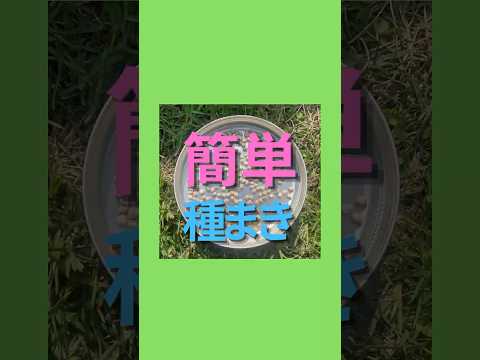 根菜の種まき時期: 根菜を逃さないように園芸家のカレンダーが示していること  庭園