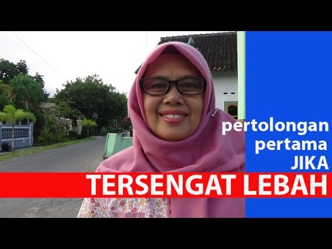 Obat terbaik untuk potensi Cara memijat untuk meningkatkan anggota