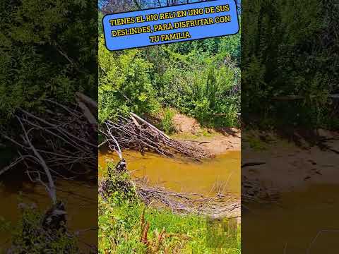 HERMOSA PARCELA EN SANTA JUANA , REGION DEL BIO BIO   #inmobiliaria #santajuana #inmuebles #sueños