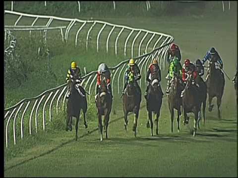 Galoppo 20/07/2016 - 5° corsa