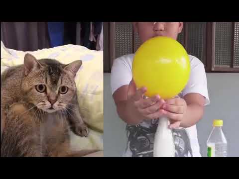 My science experiment 😂