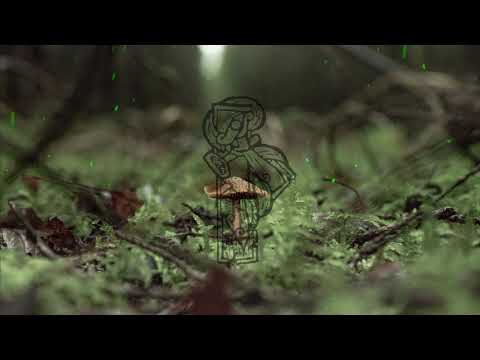 Byrdi feat. Kjell Braaten - Solsnu