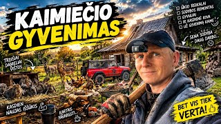 Kaimo sodybos veikos | Vlogas | 2026 09 30
