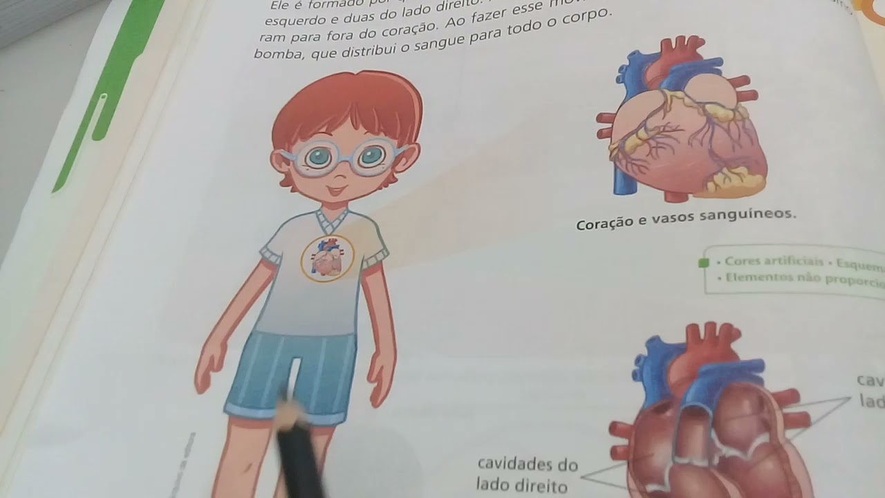 Ligamundo/Ciências 5° ano/ Correção das 58 e 59 / Sistema cardiovascular