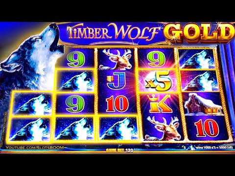 TIMBER WOLF GOLD !!! WONDER 4 BOOST - BIG BONUS!!! 4x SCREENS - Slot Machine in CASINO