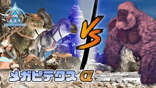 #46 デイノスクスとアクロカントにお任せ！メガピテクスαに挑戦！【ARK Survival Ascended】【ASA：The Island】【PS5】