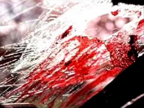 Creative Crew ft. 6.Smysl - Může se stát vše