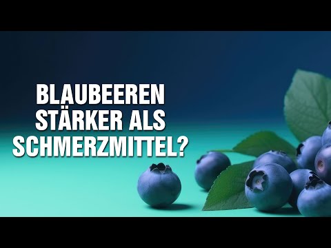 Blaubeeren stärker als Schmerzmittel? - Warum stille Entzündungen die Ursache jeder Erkrankung sind!