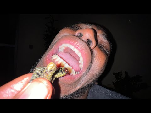 FIRST TIME AT THE CHINESE RESTAURANT