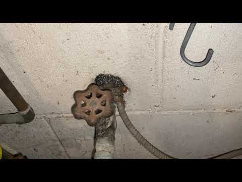 Opening Around Water Line Causes Rodent Problems for Homeowner in Toms River, NJ