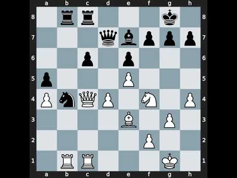 Miso Cebalo(2485) vs Ildar Ibragimov(2525) | Event: Graz op | 1994.??.??