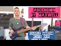 Charlie Moreno - Ascension bass cover (live streaming highlights)