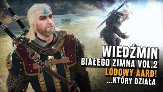 Wideo