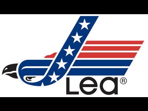 How To Make Lea Logo With Adobe Illustrator, Create Logo Lea