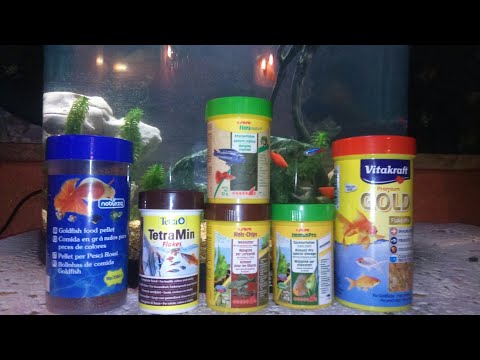 Cosa do da mangiare ai miei pesci (argomento molto importante)