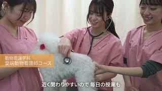 東京愛犬専門学校「学校紹介」動画