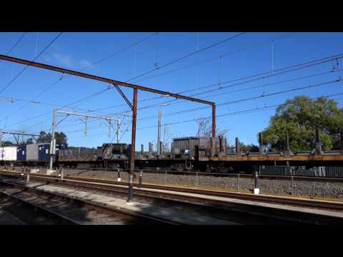 NR25 Indian Pacific repaint with 5NY3 - 4/9/14