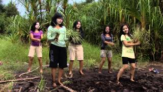 Download lagu powdeeerrr rangers! [Cover TINA with D'GIRLS : Cinta Buta] mp3