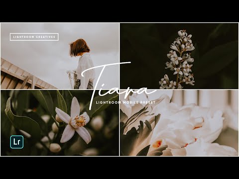 Lightroom Mobile Presets Free DNG | Tiara Preset