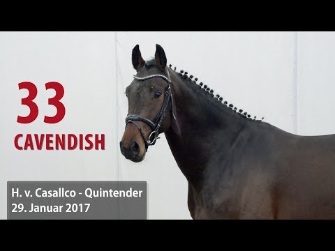 33 Cavendish Hengst v. Casallco - Quintender