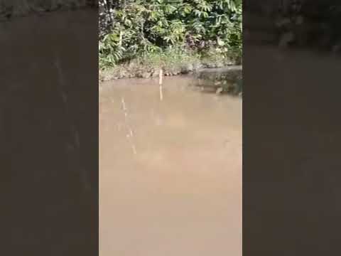 Sistema de abastecimento de água comprometida em São Paulo de Olivença (Am) #amazonas #amazonia