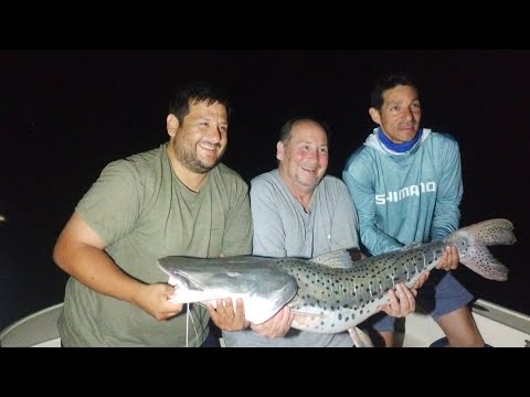 Pescamos en La Previa VII -concurso de pesca del surubi Goya Corrientes #amigosdepesca