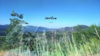 TzChien慈謙 - Cactus 仙人掌(DEMO)
