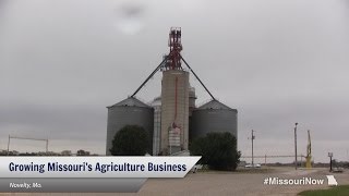 preview picture of video 'Gov. Nixon discusses corn harvest and Missouri agriculture priorities'